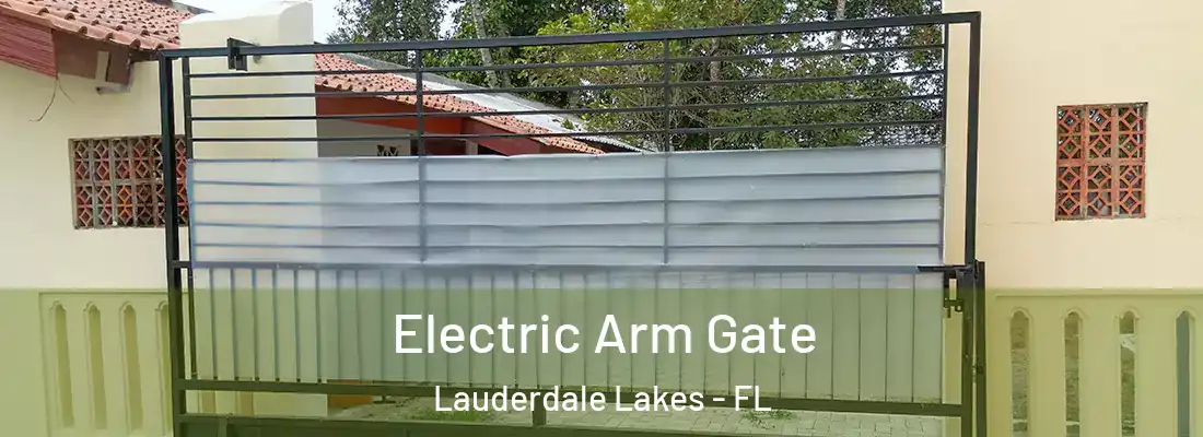 Electric Arm Gate Lauderdale Lakes - FL